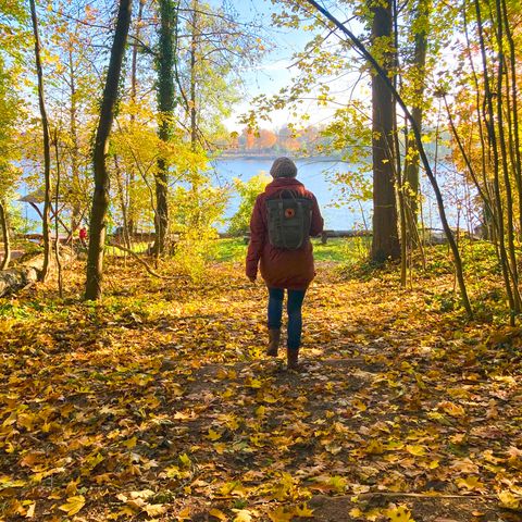 Wanderin läuft durch einen bunten Herbstwald auf das Ufer des Straussees zu