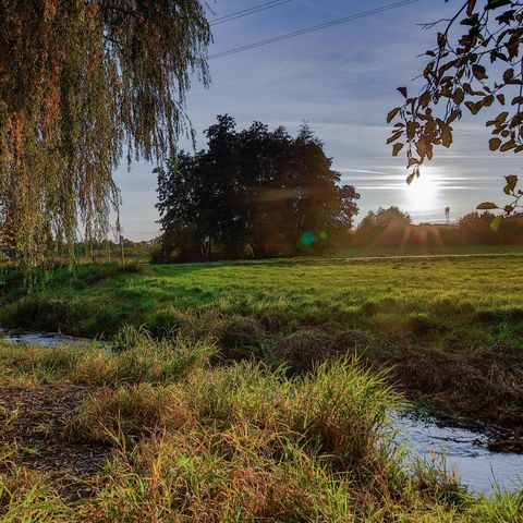 Neuenhagener Naturschutzgebiet mit Fluss und Sonnenstrahlen