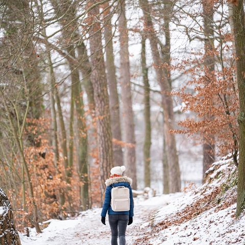 Wanderin macht Winterspaziergang im schneebedeckten Wald in Strausberg