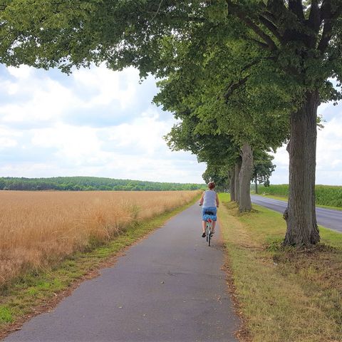 Radfahrerin auf einem Radweg vorbei an einem Feld bei Strausberg