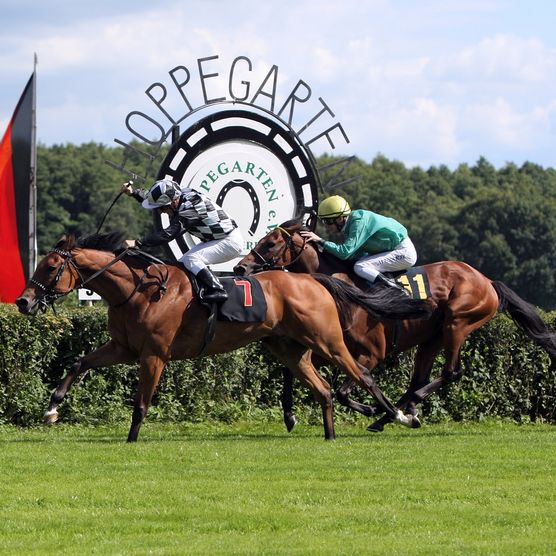 Pferderennen auf der Rennbahn in Hoppegarten